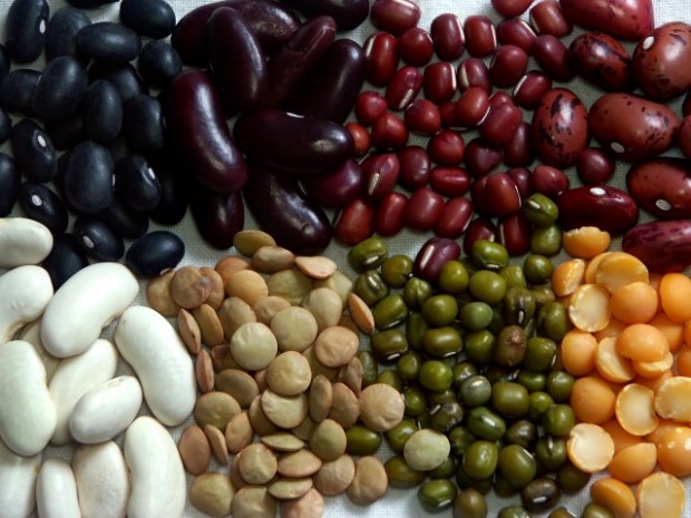 alimentos com ferro